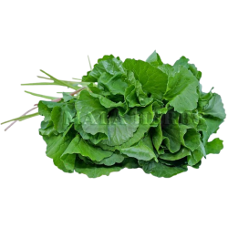 Vallarai/Brahmi 1lb