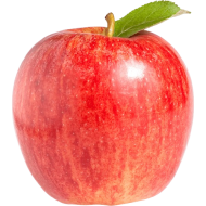 Apple Fuji PER LB