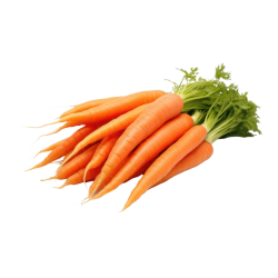 Carrot Loose 1lb