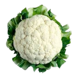 Cauliflower Medium ea