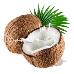 Coconut each