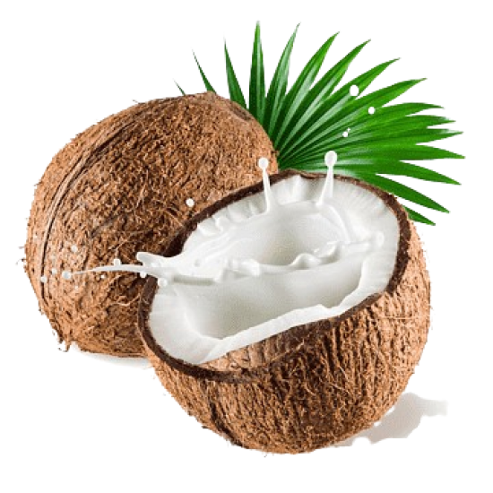 Coconut each