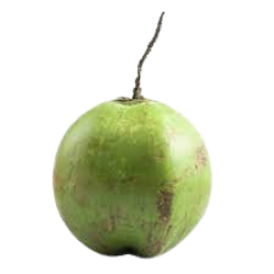 Coconut Green 1pc, Farm
