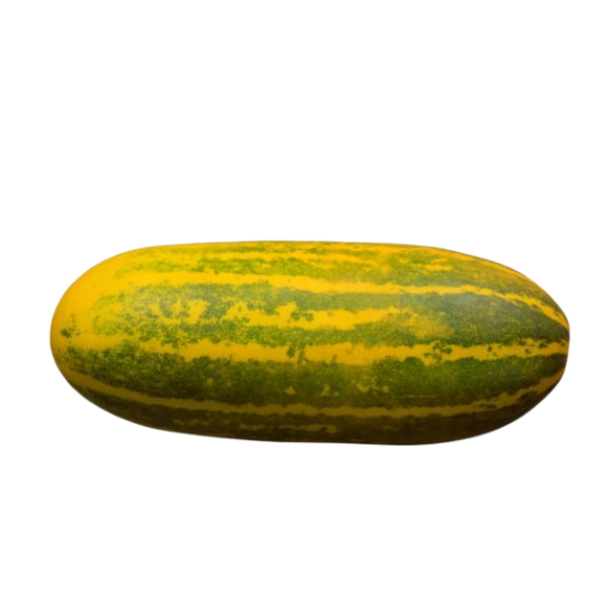Cucumber Indian 1lb