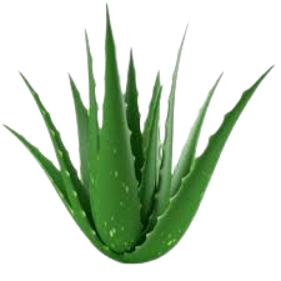Aloe Vera 1lb,FarF