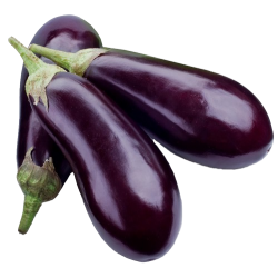 Eggplant American ea