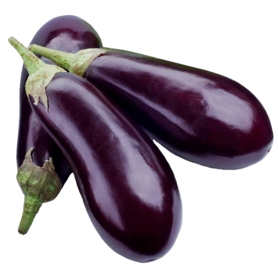 Eggplant American ea