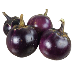 Eggplant Purple/Ennai Kathirika