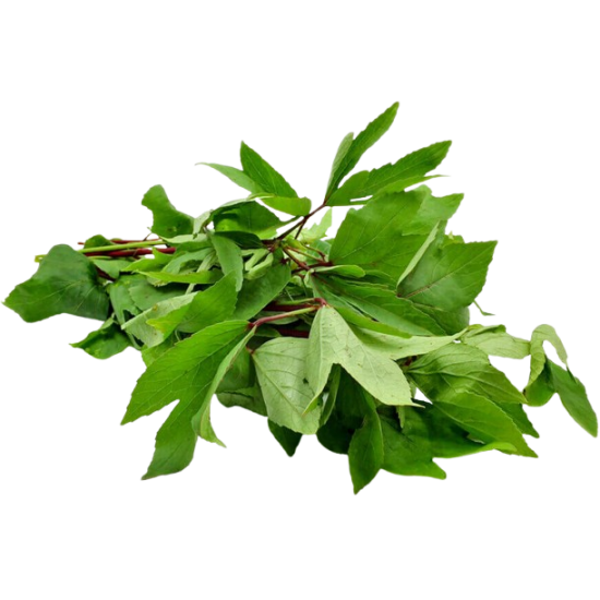 Gongura Leaf Bunch,ea