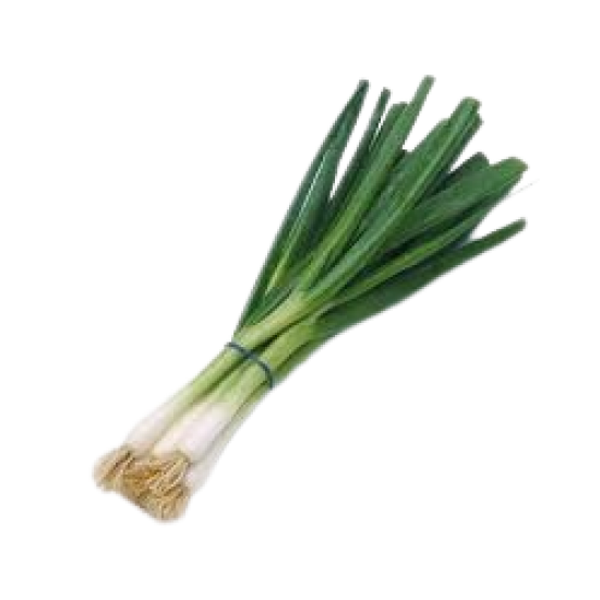 Green Onion Bunch each