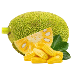 Jackfruit Cut 1lb