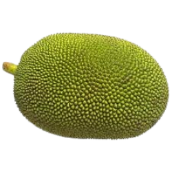 Jackfruit Whole 1lb