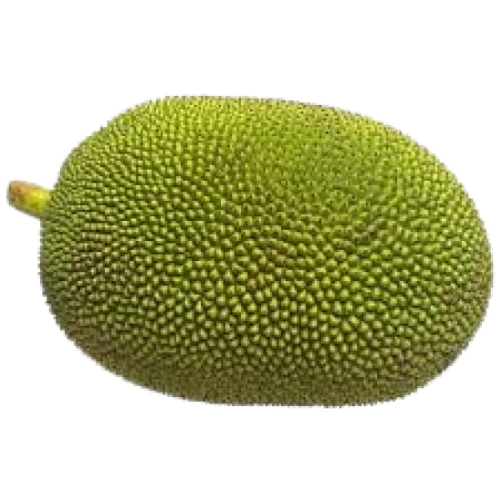 Jackfruit Whole 1lb