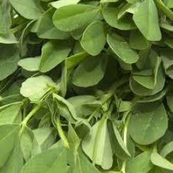 Valdergo Mint(Paruppu Kerai)