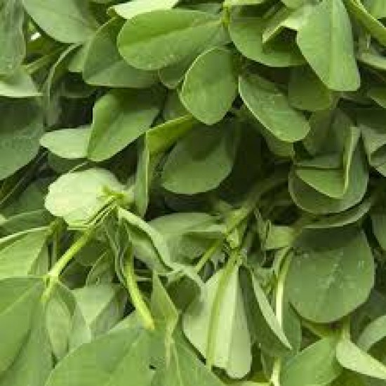 Valdergo Mint(Paruppu Kerai)