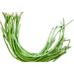 Long Beans Green 1lb