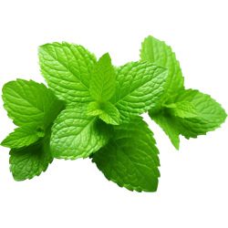 Mint Leaf Bunch ea