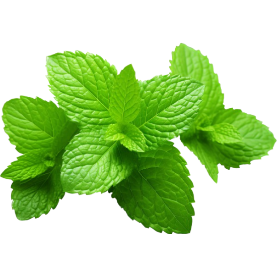Mint Leaf Bunch ea