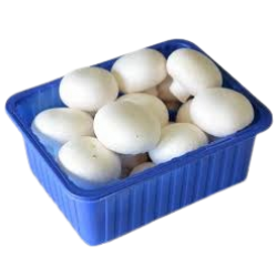Mushroom Pack,ea