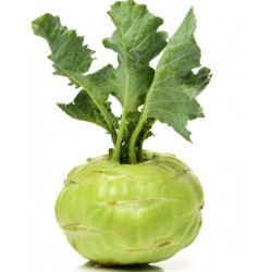 Kolarabi (Nookal),Bunch