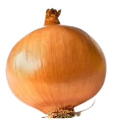 Onion Yellow 1lb