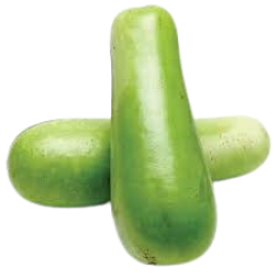 Long Opo 1lb, 1lb