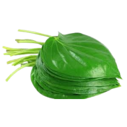 Pan Leaf