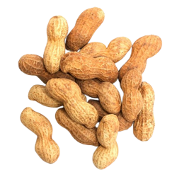 Fresh Peanut lb