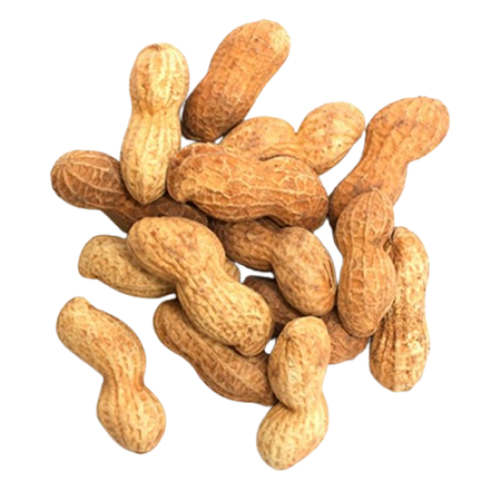 Fresh Peanut lb