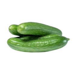 Cucumber Persian 1lb