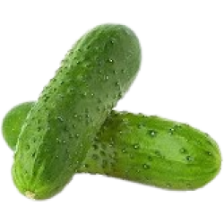 Cucumber Pickle 1lb