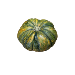 Pumpkin (Kabocha) 1lb
