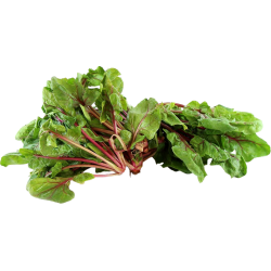 Red Leaves 1lb