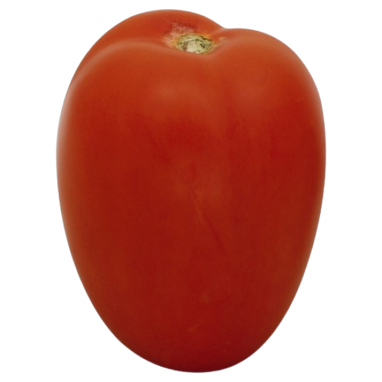 Tomato Roma 1lb
