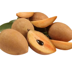 Sapota (Chicko) 1lb