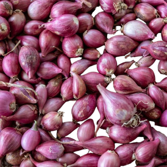 Shallot Big 1lb