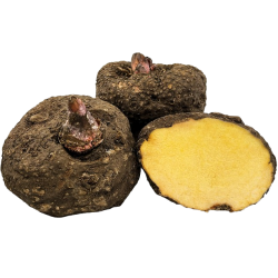 Suran 1lb
