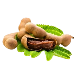 Tamarind Fresh 1lb