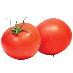 Tomato Regular 1lb