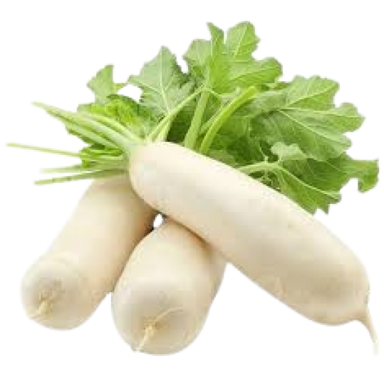 Daikon(Mooli) 1lb