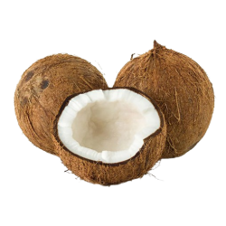 Coconut Brown Each