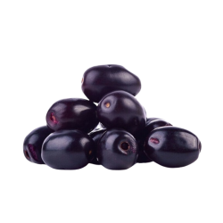 Jamun/ Nava Pazham pkt,farm