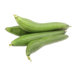 Patora,FarmF
