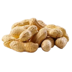 Fresh Peanut lb