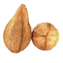 Pooja Coconut Each