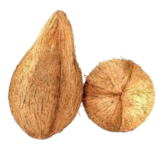 Pooja Coconut Each