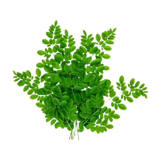 Drumstick Leaf Bunch ea
