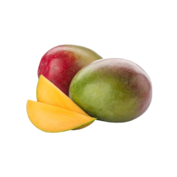 Mango Kent each /Keith