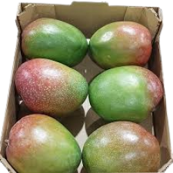 Mango Kent/ Keith,Box