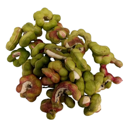 Kodukapuli 1lb